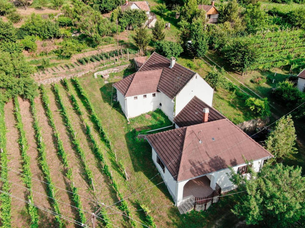 הוילה Raposka Hillside Vendeghaz A Szent Gyoergy-Hegyen מראה חיצוני תמונה